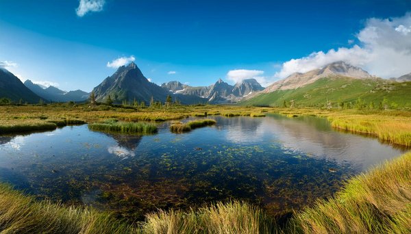 Ambassadeurs Franche Comte